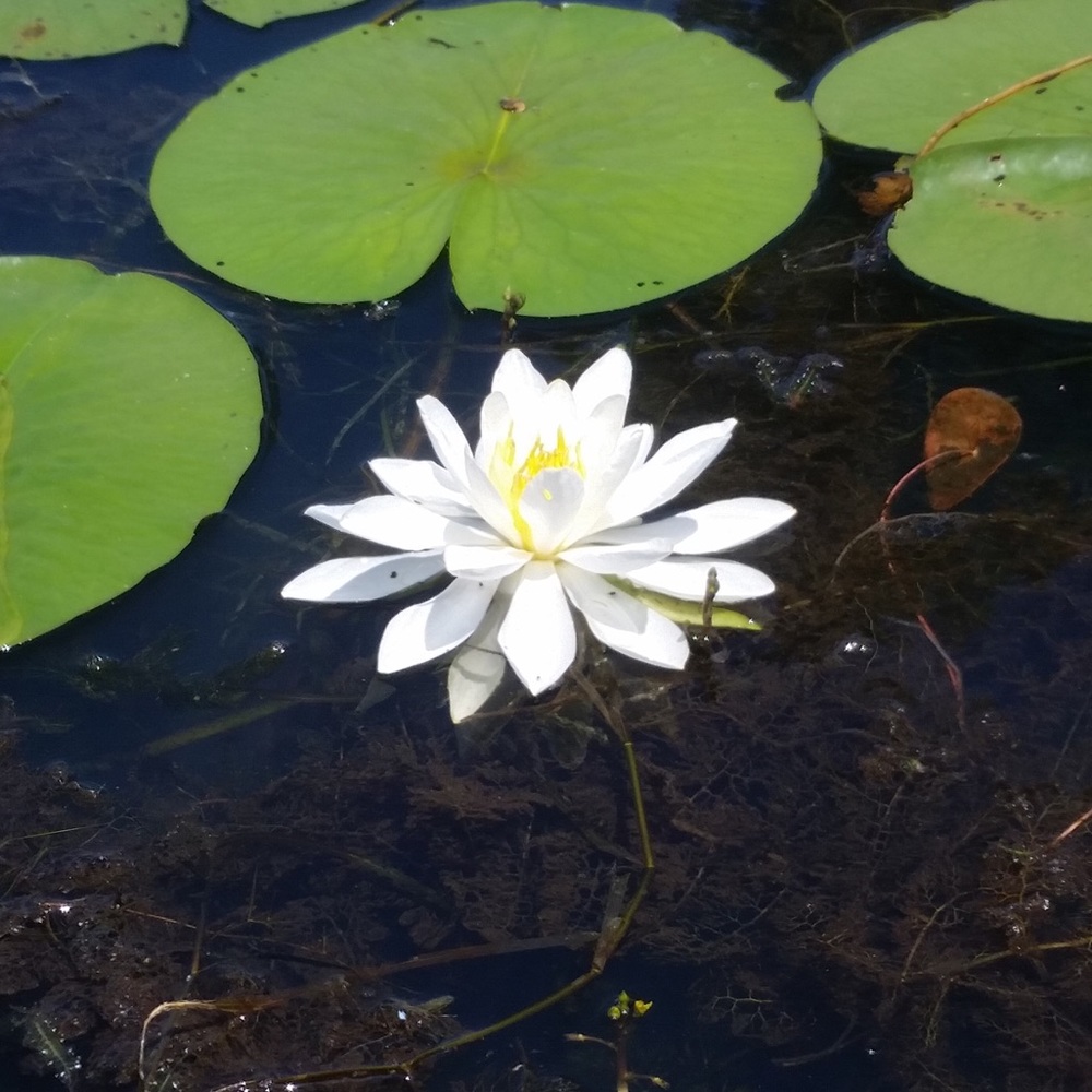 Meet Your Posher, Kim!